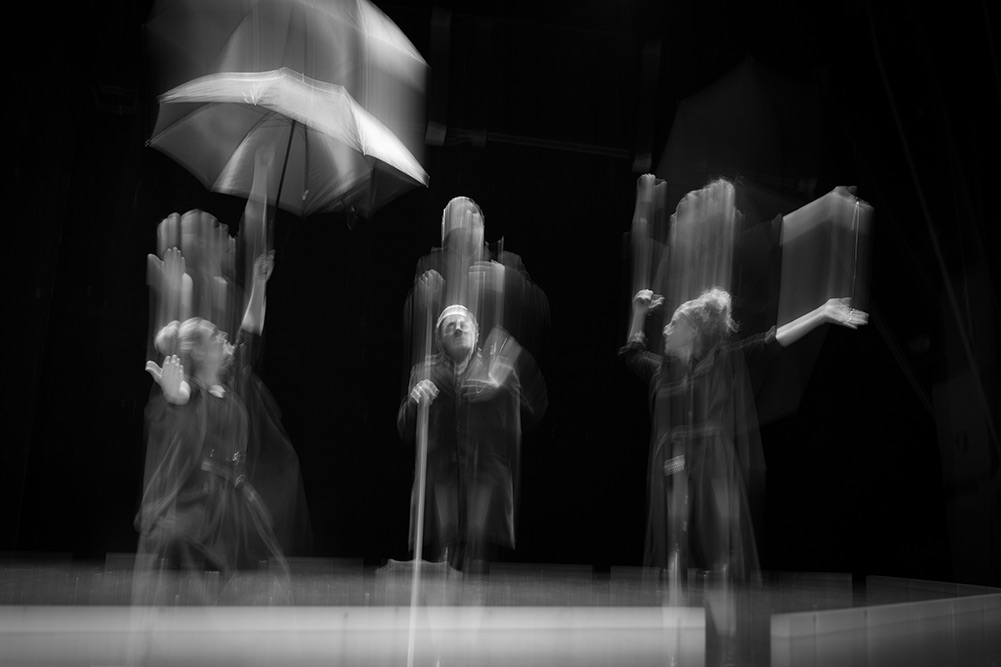 Walking Shadow Ensemble